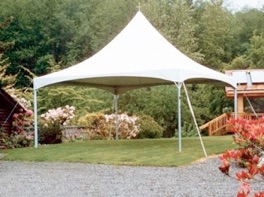 30&lsquo; x 45&lsquo;